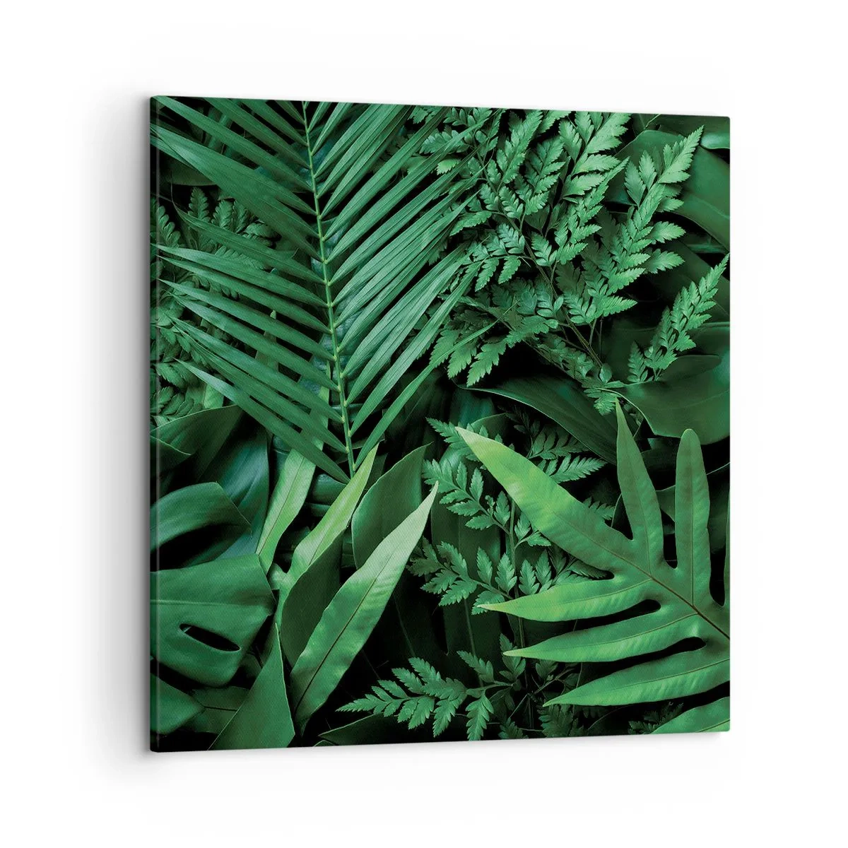 Quadro em tela - Envolto em verde - 50x50 cm