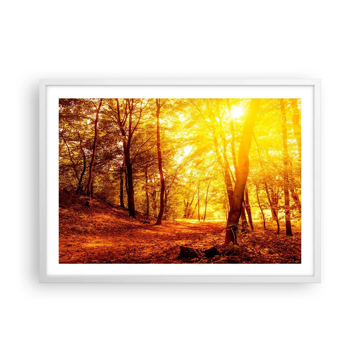 Pôster em moldura branca - Rumo à clareira dourada - 70x50 cm