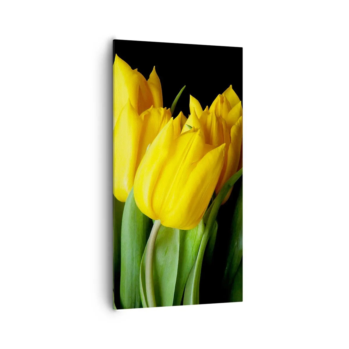 Quadro em tela - Feitas a partir do sol - 65x120 cm