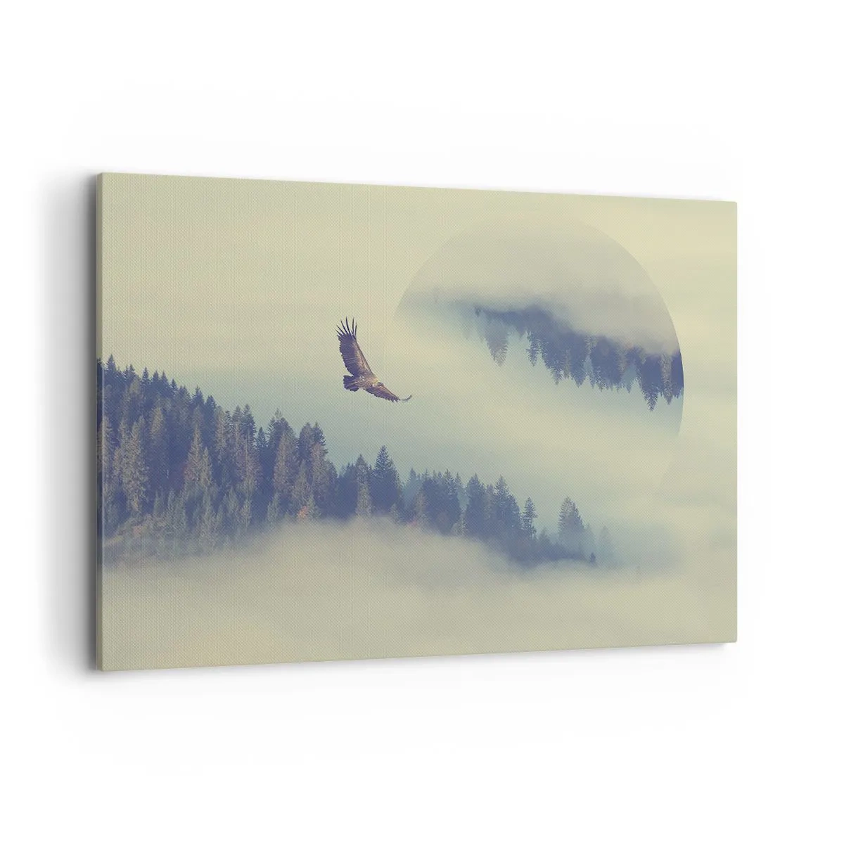 Quadro em tela - Eu vi a sombra de uma águia - 120x80 cm