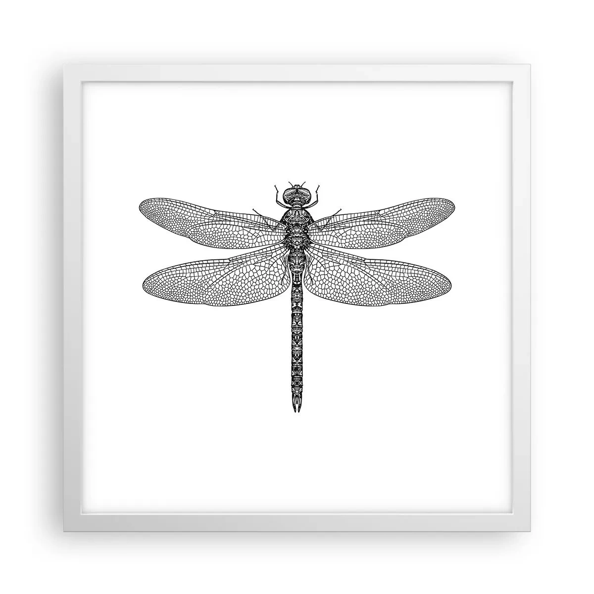 Pôster em moldura branca - Precisão da natureza - 40x40 cm