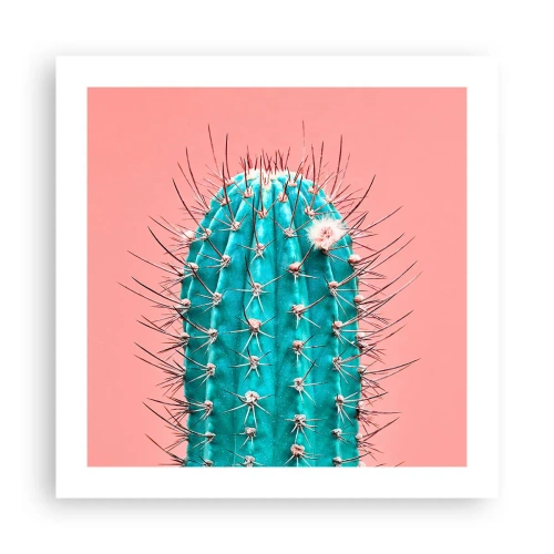 Pôster - Apenas olhe - 50x50 cm