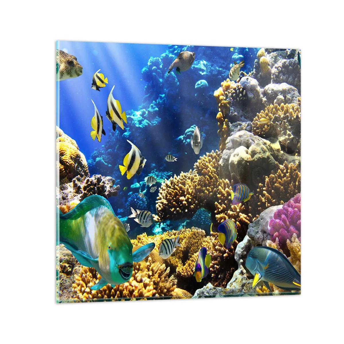 Quadro em vidro - Tráfego intenso no percurso de férias - 70x70 cm