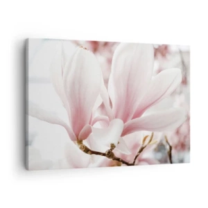 Quadro em tela - Delicadas flores de magnólia em tons pastéis - 70x50cm - Sensibilidade infinita - Decoração de parede moderna para a sala de estar e quarto ARTTOR