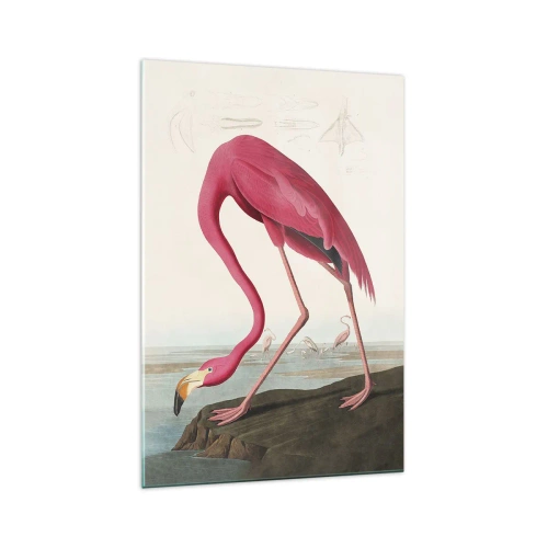 Quadro em vidro - Uma criatura surpreendente - 70x100 cm