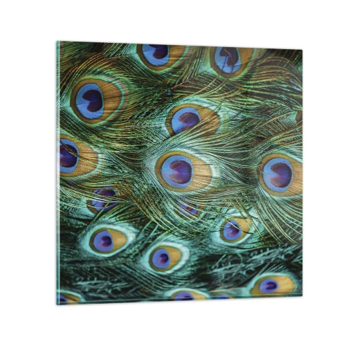 Quadro em vidro - Um olhar de pavão - 30x30 cm