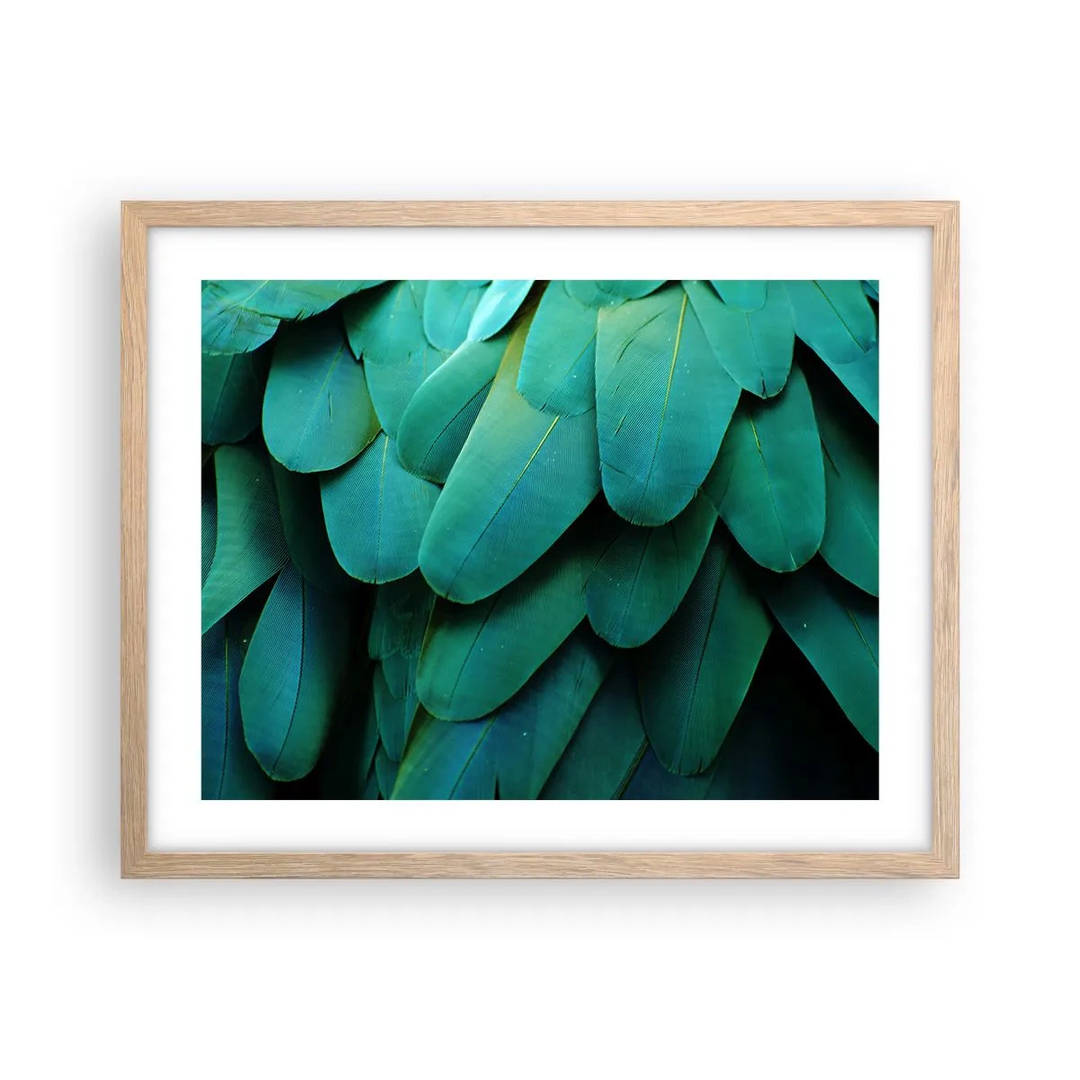 Pôster com moldura de carvalho claro - Precisão de papagaio - 50x40 cm