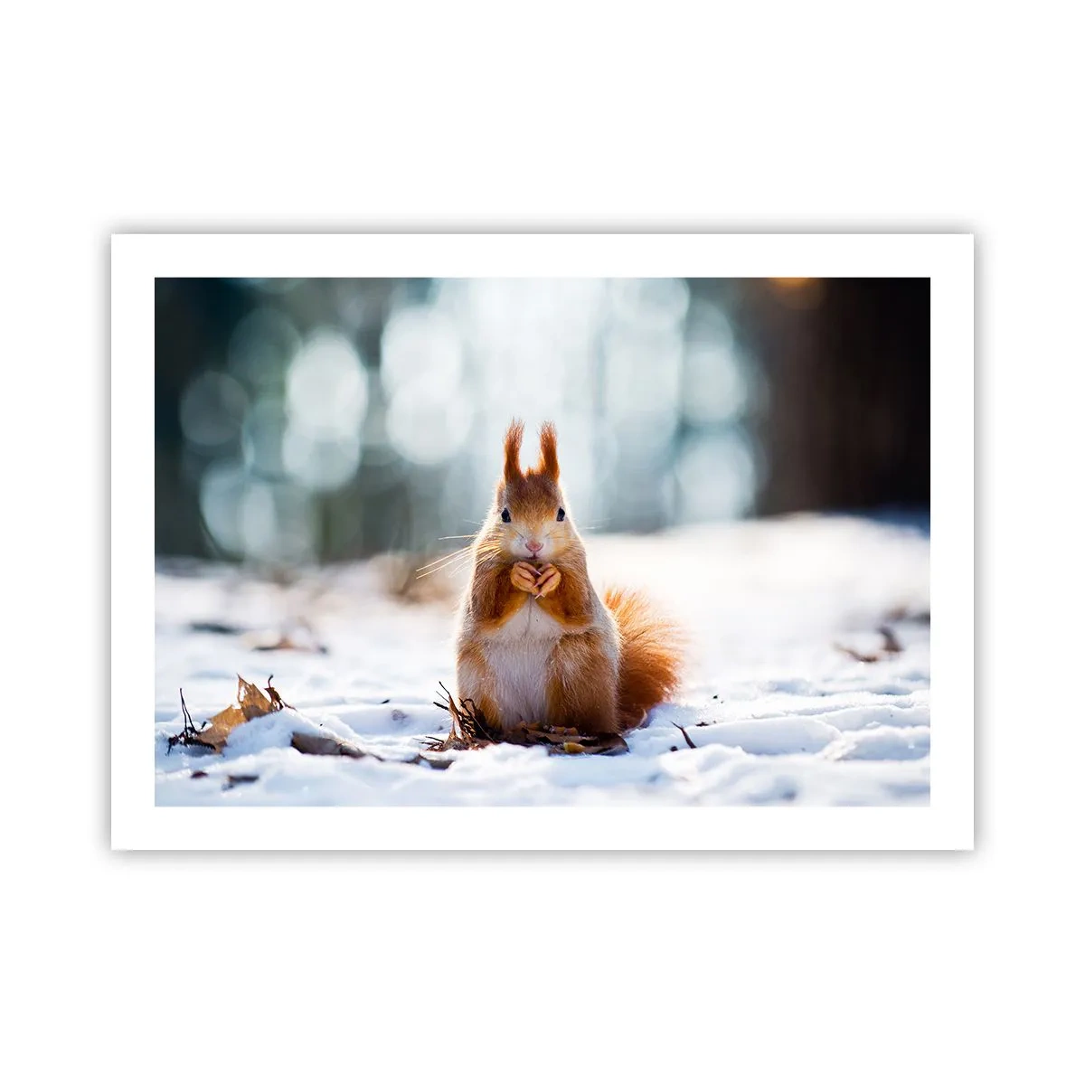 Pôster - Para o que estás a olhar? - 70x50 cm