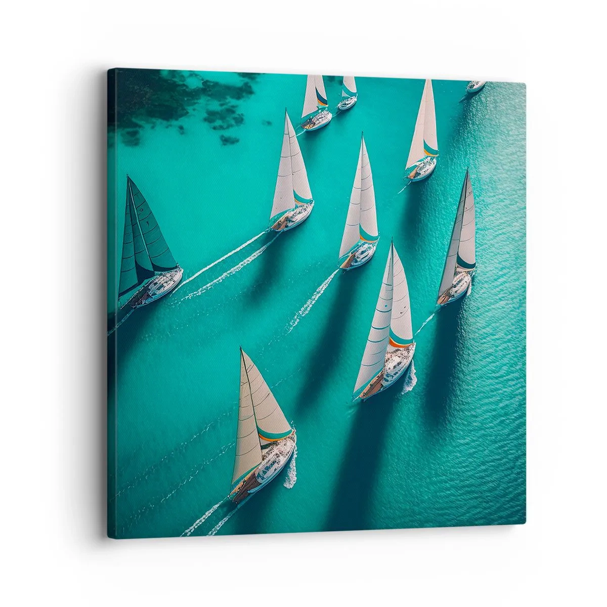 Quadro em tela - Numa competição com o vento - 30x30 cm