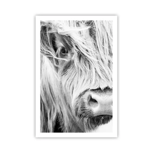 Pôster - Natureza selvagem escocesa - 61x91 cm