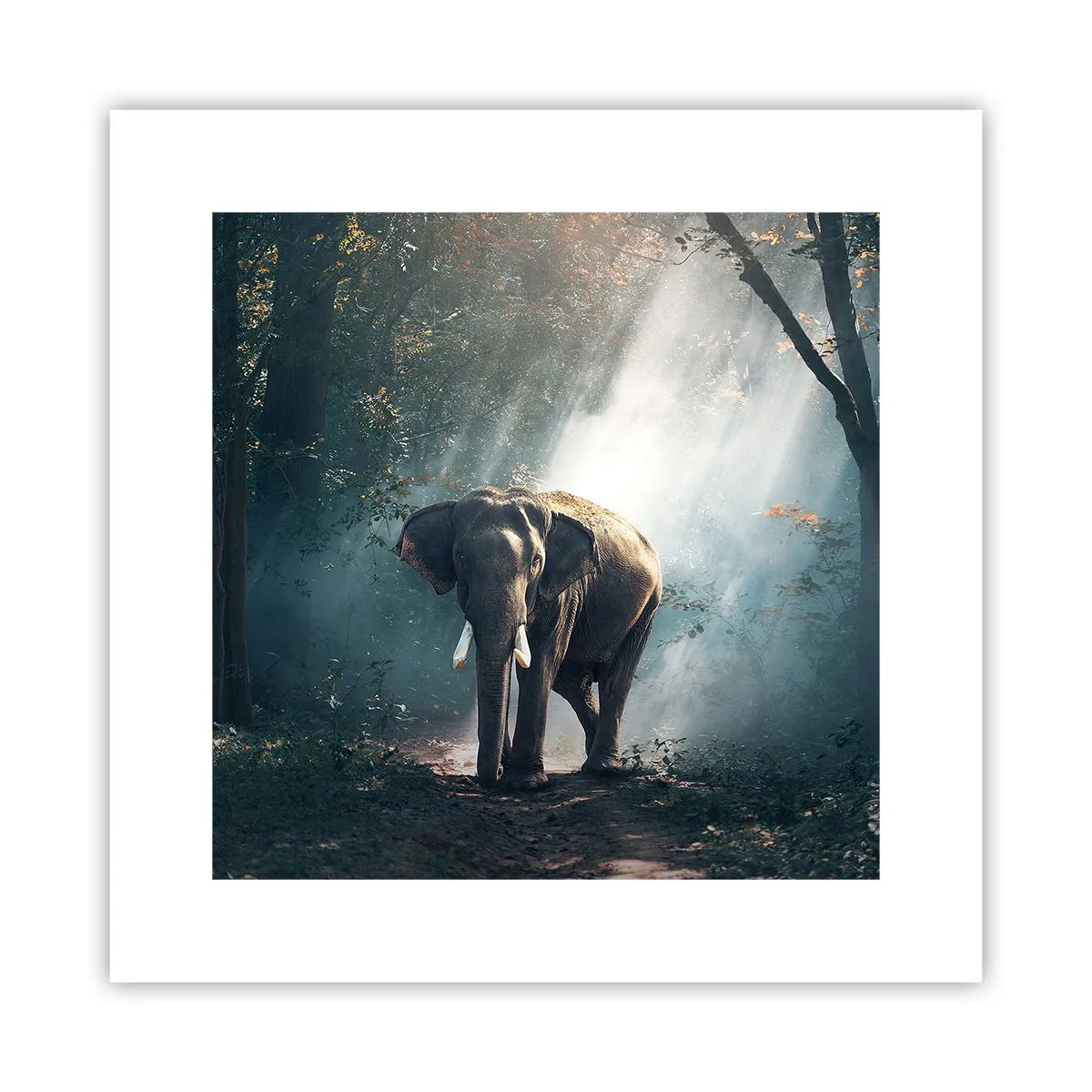 Pôster - Um passeio descontraído - 30x30 cm