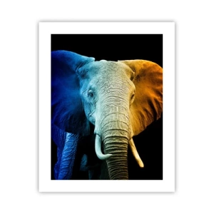 Pôster - Excêntrico, não esquisito - 40x50 cm