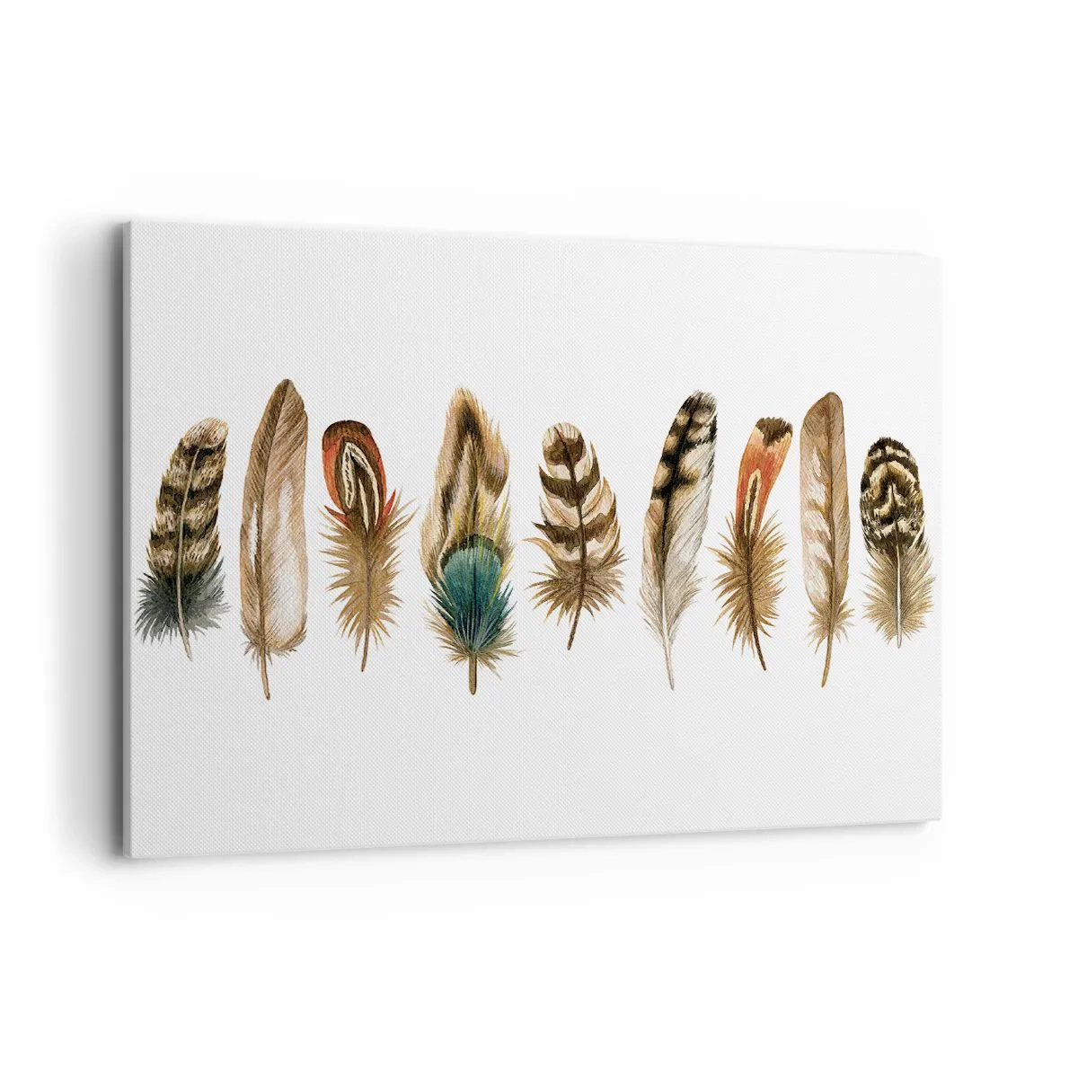 Quadro em tela - Variações de penas - 100x70 cm