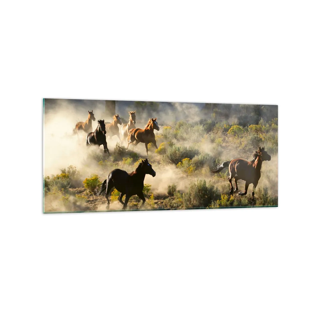 Quadro em vidro - Competição - liberdade ou força masculina? - 120x50 cm