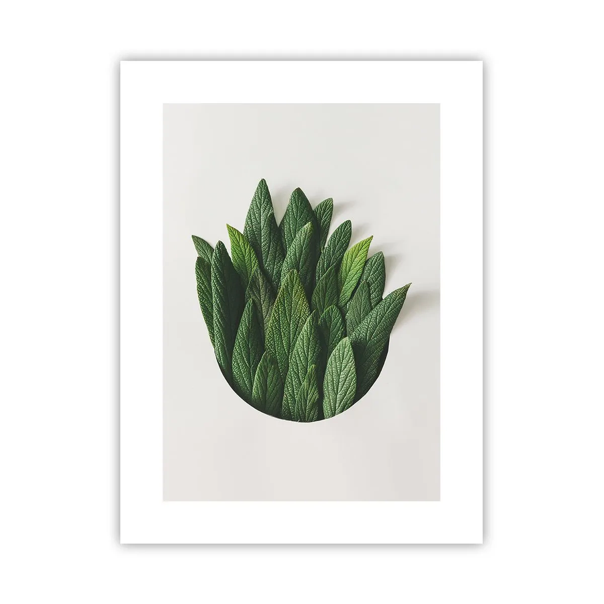 Pôster - Curiosidade indomável - 30x40 cm