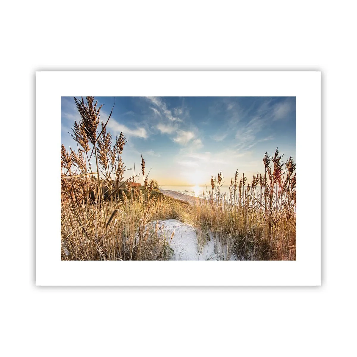 Pôster - Praia do Norte - 40x30 cm