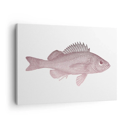 Quadro em tela - Ilustração detalhada de um peixe em um fundo branco - 70x50cm - Peixe de olhos grandes - Decoração de parede moderna para a sala de estar e quarto ARTTOR