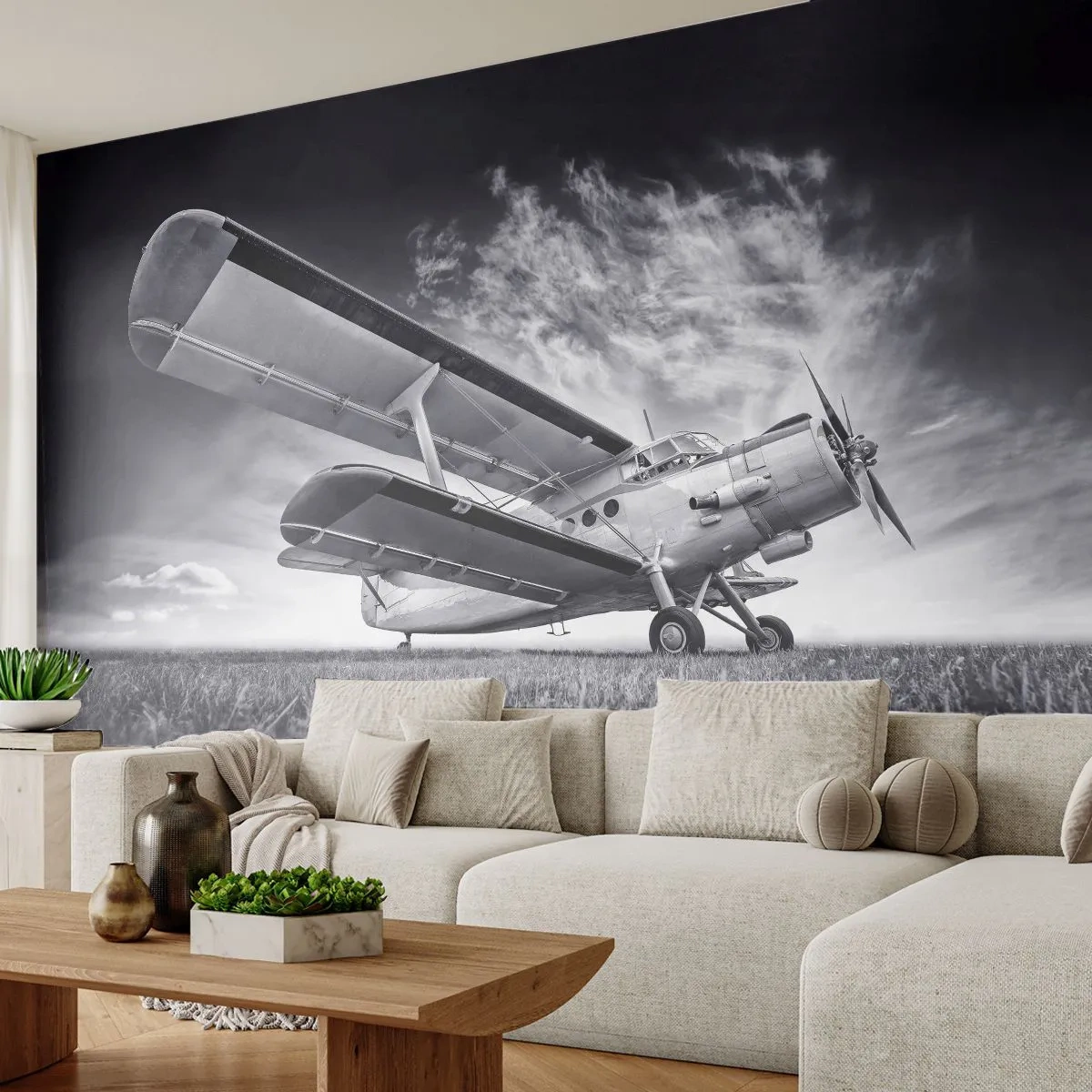 Papel de Parede Standard Eco - Andarilho alado - Avião, Aeronave, Preto e branco - 200x140 cm