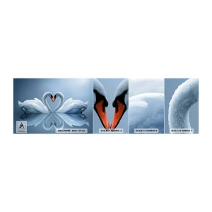 Amostra de papel de parede autocolante Deluxe Sticker - Hora do amor - Cisnes, Amor, Coração - 100x30 cm