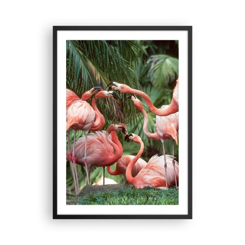 Pôster com moldura preta - Flamingos cor-de-rosa em um cenário exótico de palmeiras - 50x70cm - Fofocas da tarde - Decoração de parede moderna para a sala de estar e quarto ARTTOR