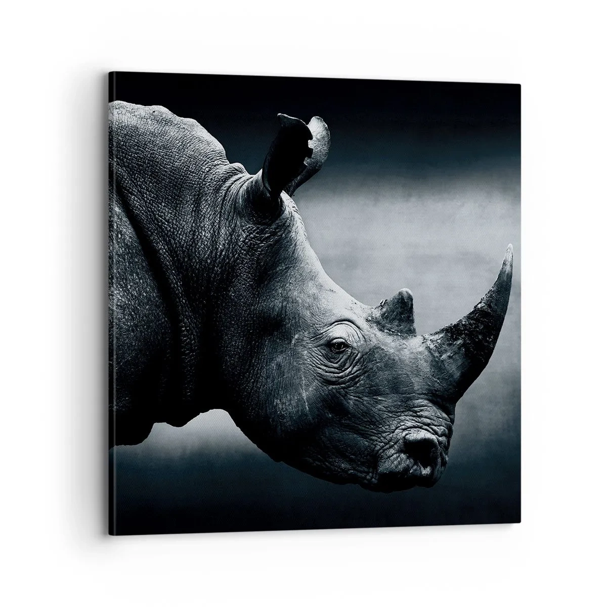 Quadro em tela - Perfil direito - 70x70 cm