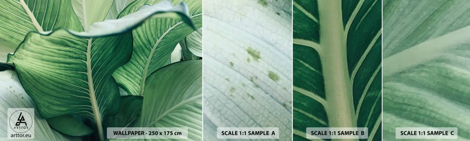 Amostra de Papel de Parede Standard Eco - Vida intensamente verde - Folhas, Exótico, Botânico - 100x30 cm