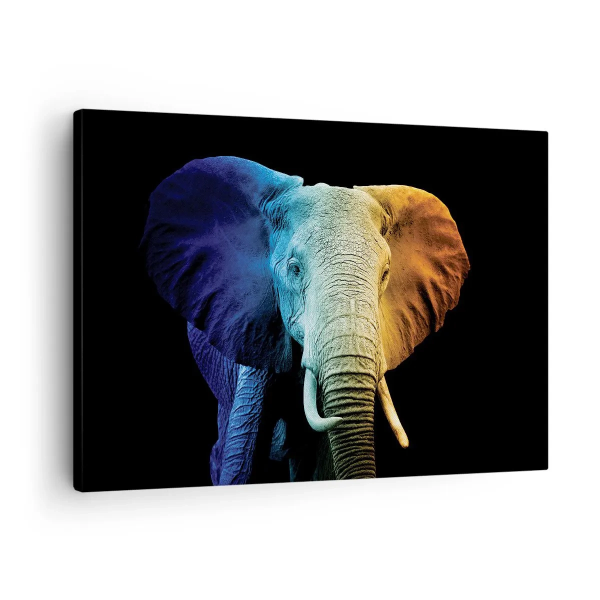 Quadro em tela - Retrato de elefante nas cores do arco-íris - 70x50cm - Excêntrico, não esquisito - Decoração de parede moderna para a sala de estar e quarto ARTTOR