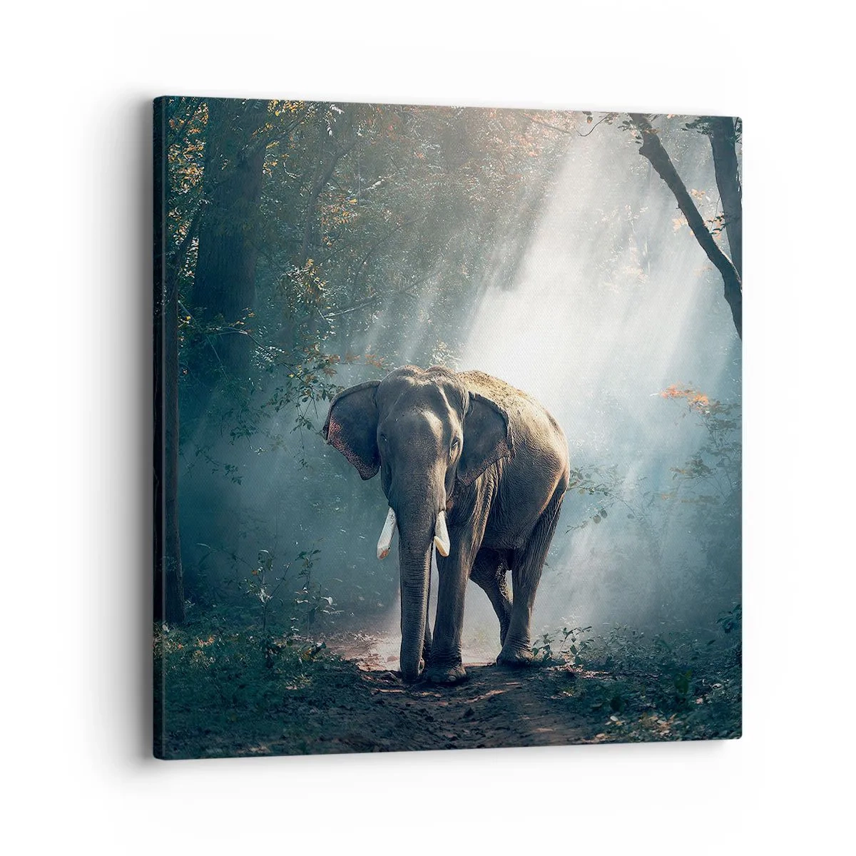 Quadro em tela - Um passeio descontraído - 40x40 cm