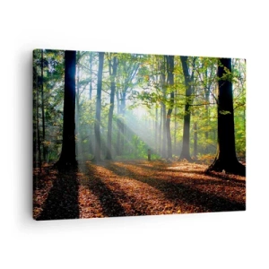 Quadro em tela - Uma clareira na floresta iluminada pelos raios do sol - 70x50cm - Luzes e sombras - Decoração de parede moderna para a sala de estar e quarto ARTTOR