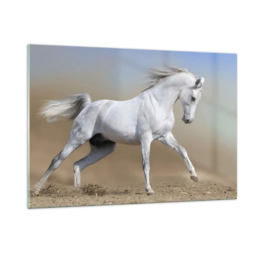 Quadro em vidro - O mais belo conto de fadas árabe - 120x80 cm