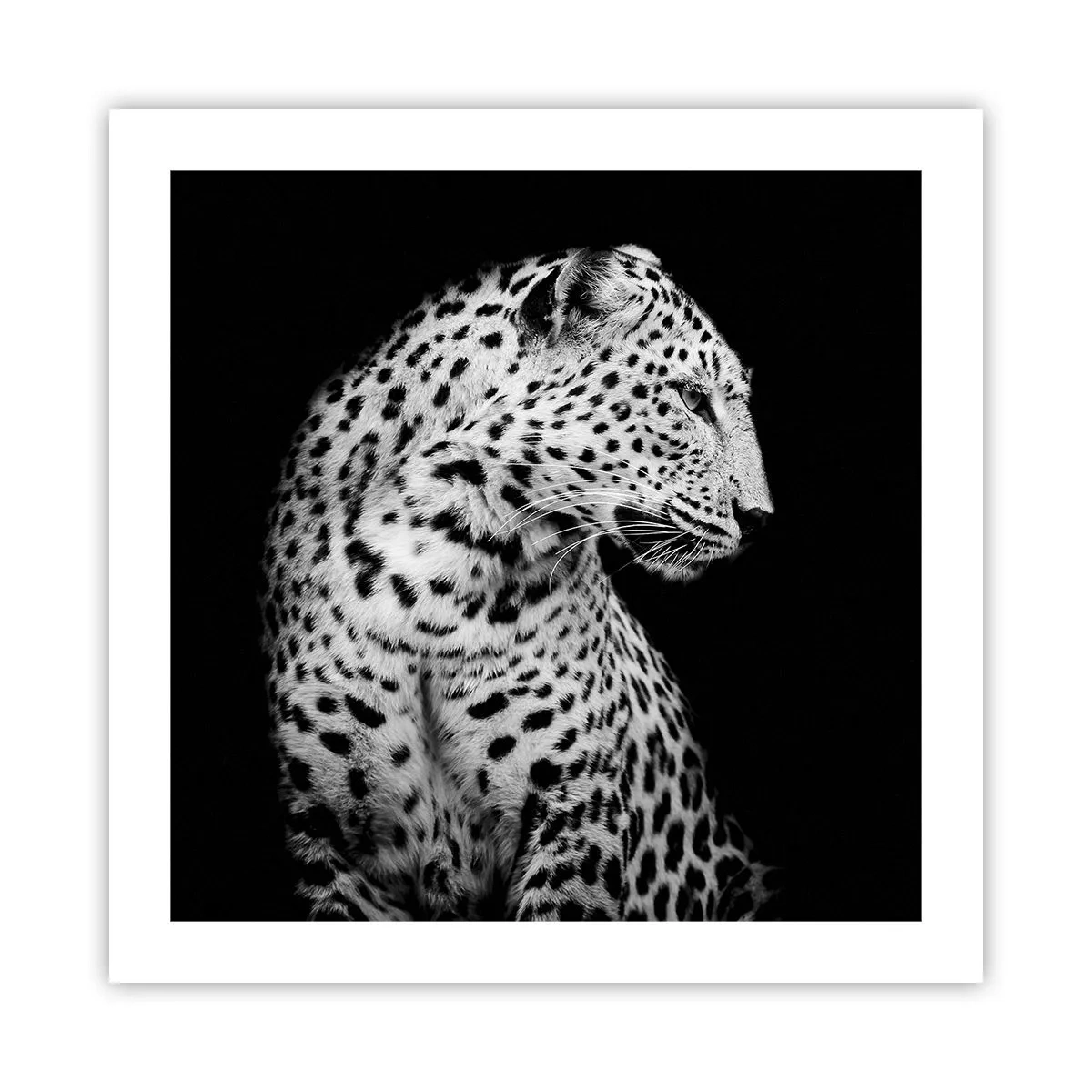 Pôster - Perfil direito perfeito! - 50x50 cm