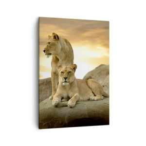 Quadro em tela - Majestade real - 50x70 cm