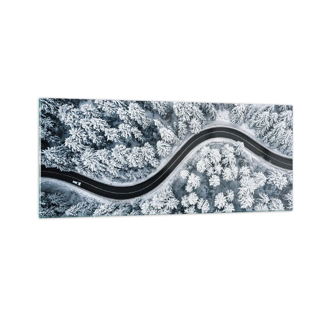 Quadro em vidro - Pelaa floresta no inverno - 100x40 cm