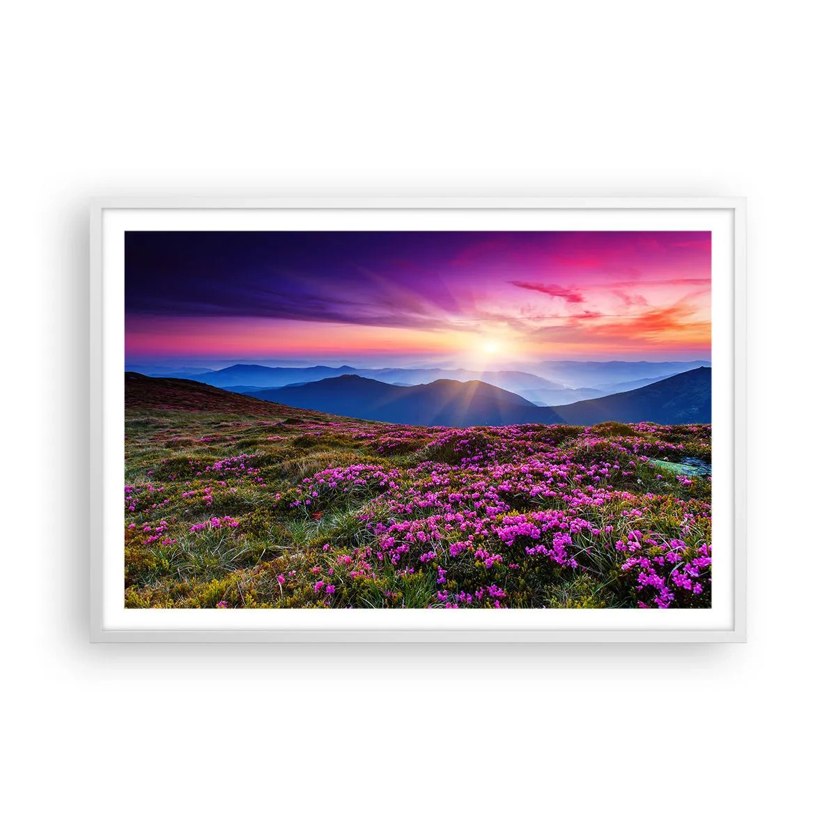 Pôster em moldura branca - Campo cheiroso - 91x61 cm