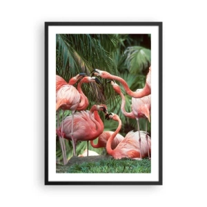Pôster com moldura preta - Flamingos cor-de-rosa em um cenário exótico de palmeiras - 50x70cm - Fofocas da tarde - Decoração de parede moderna para a sala de estar e quarto ARTTOR