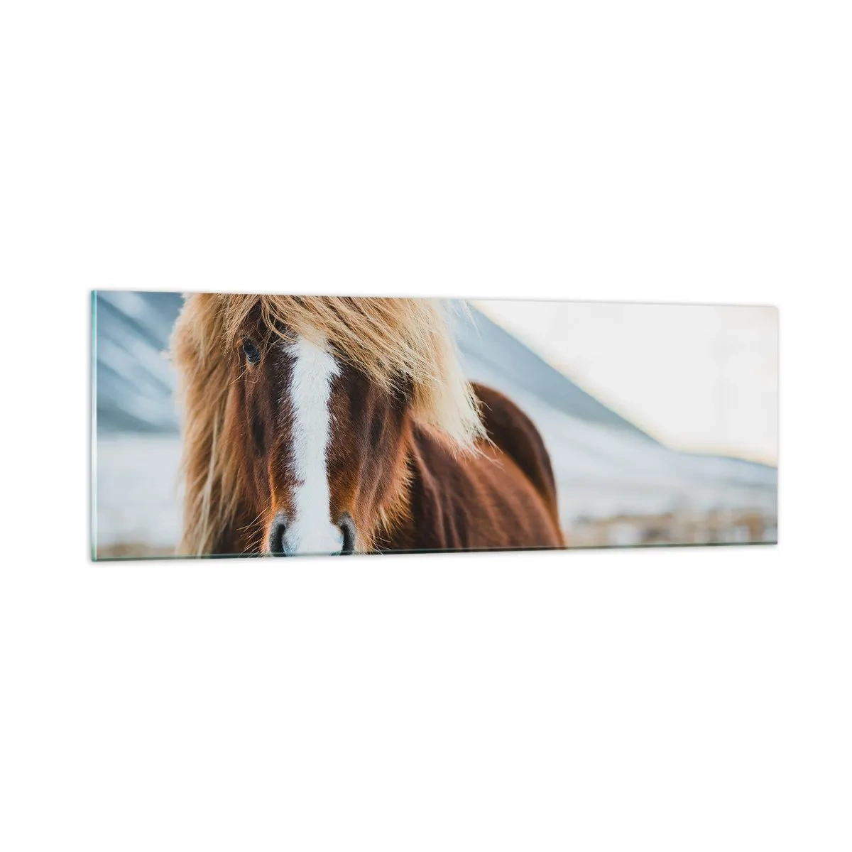 Quadro em vidro - Sentes a liberdade? - 90x30 cm