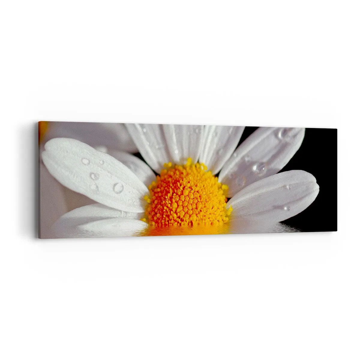 Quadro em tela - As margaridas do sol nascente - 90x30 cm