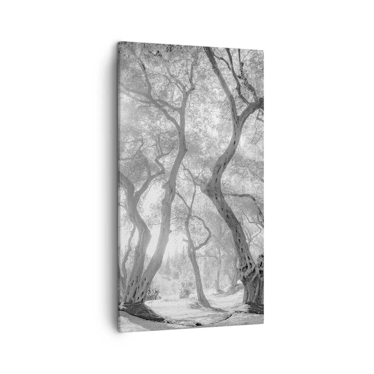 Quadro em tela - No olival - 45x80 cm