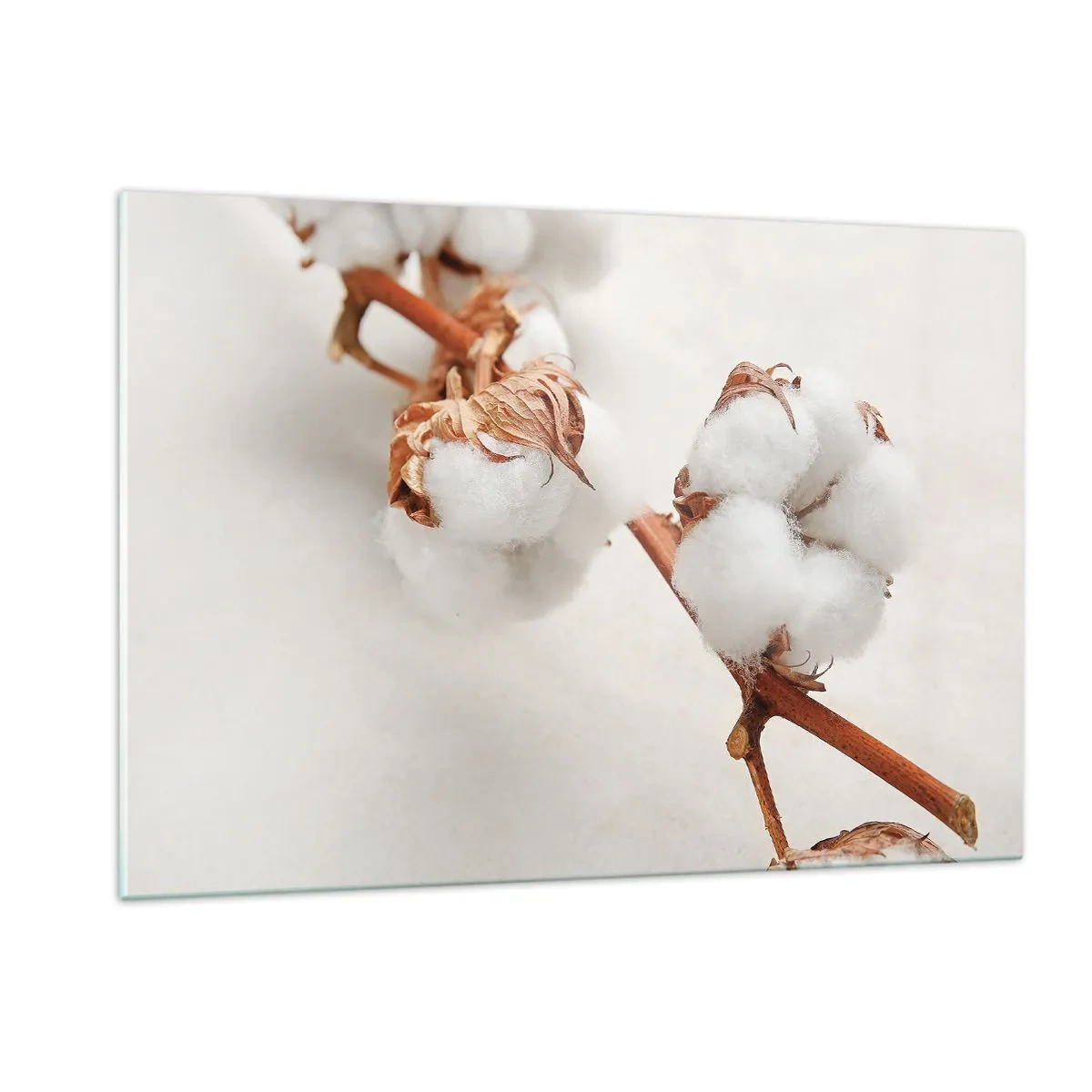 Quadro em vidro - Apenas acaricie - 120x80 cm