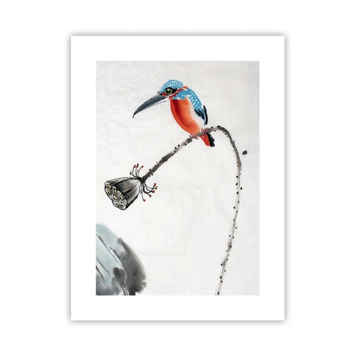 Pôster - A vida do prado - 30x40 cm