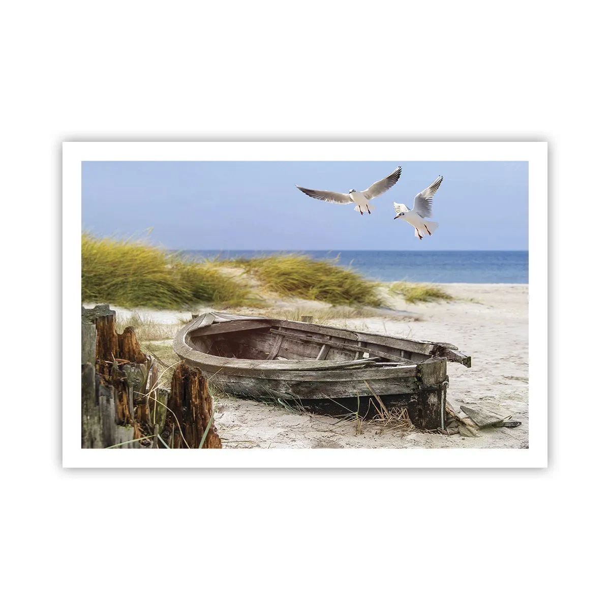 Pôster - Banhado pelo vento - 91x61 cm