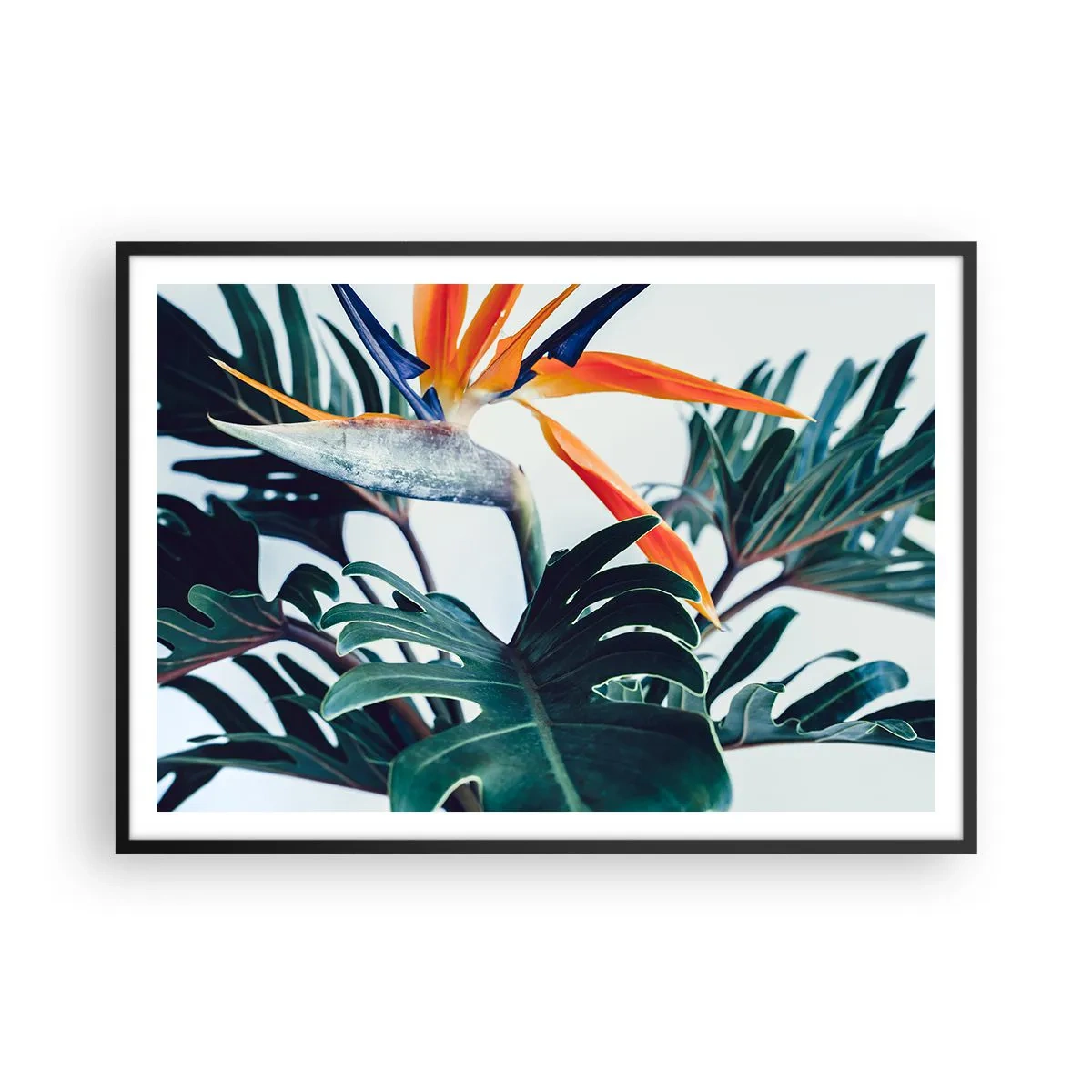 Pôster com moldura preta - Arbusto de passarinho - 100x70 cm