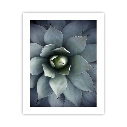 Pôster - Atrai e adverte - 40x50 cm