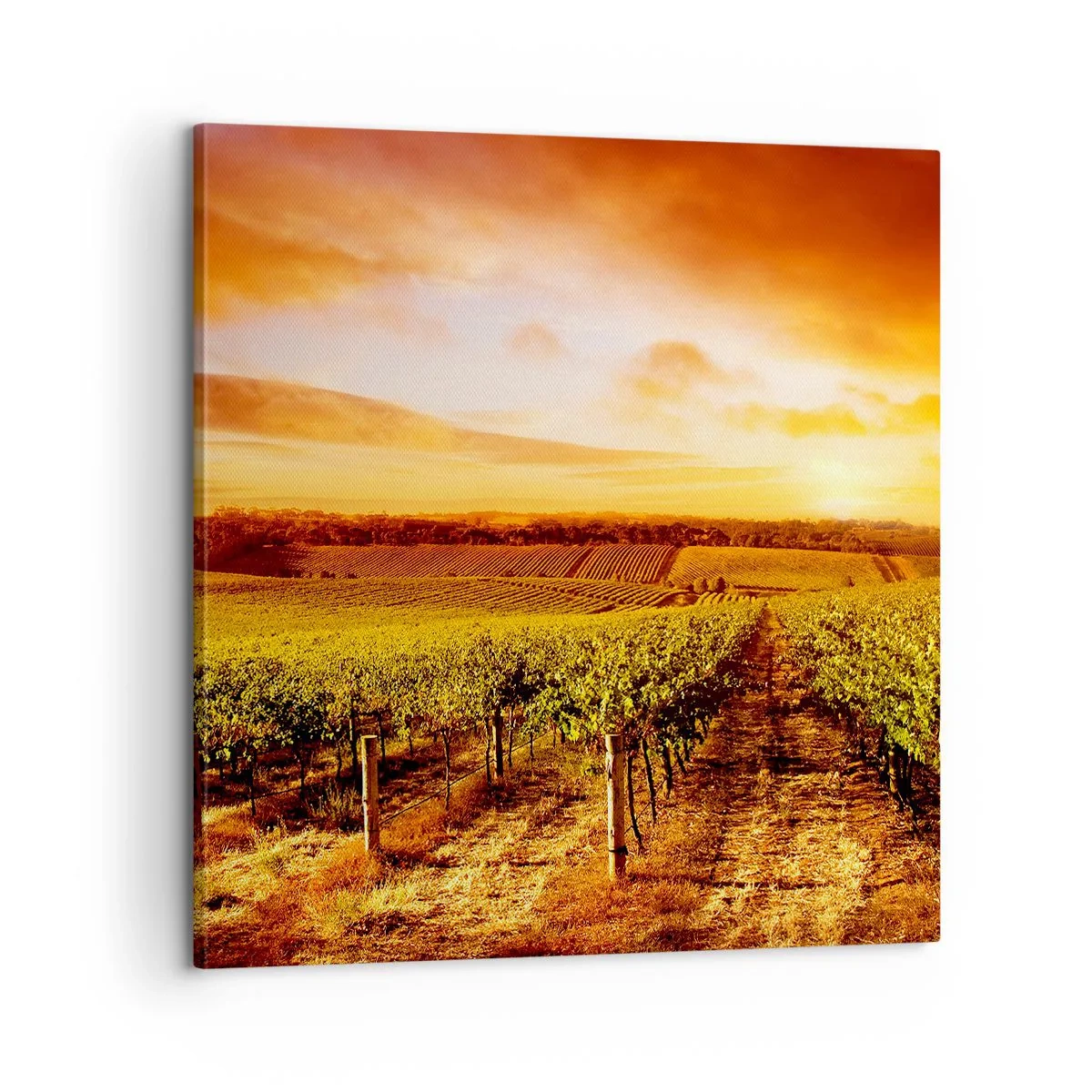 Quadro em tela - Delicadamente frutado com um toque de sol - 60x60 cm