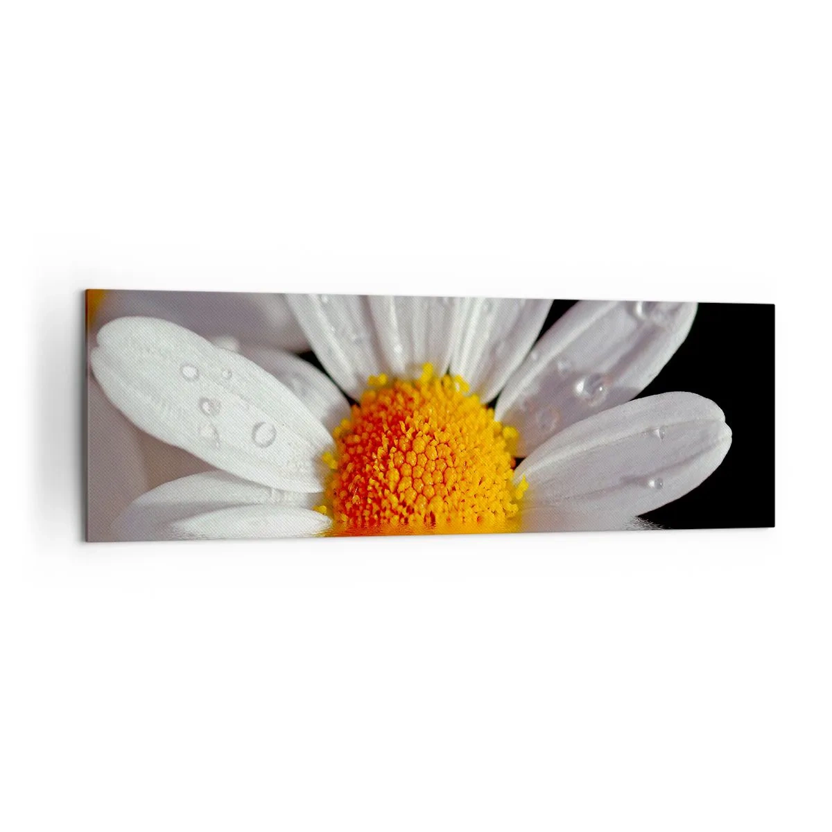 Quadro em tela - As margaridas do sol nascente - 160x50 cm