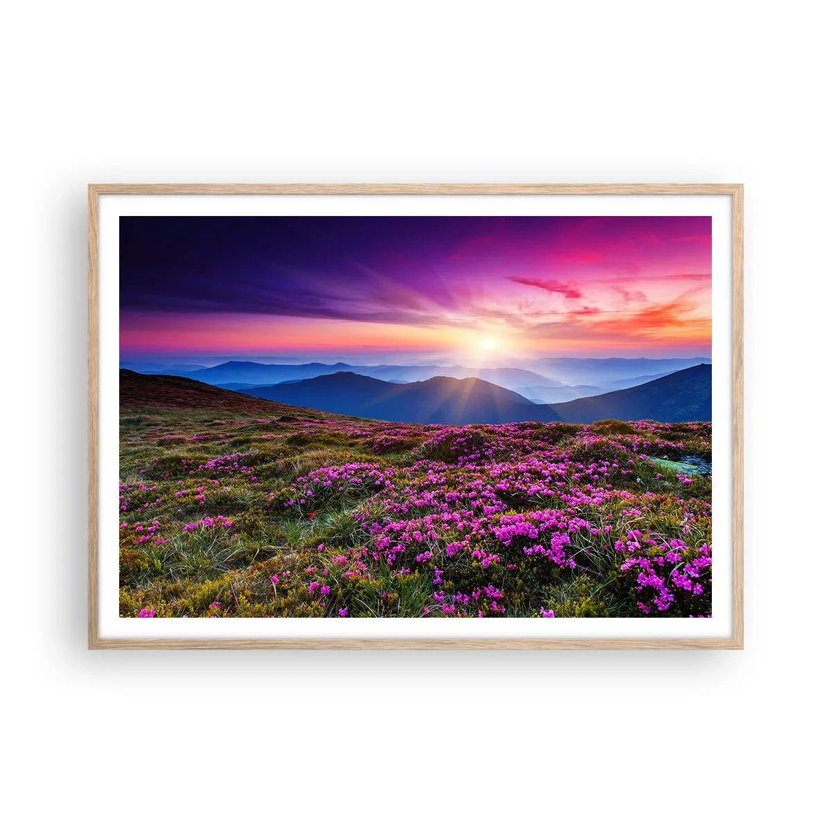 Pôster com moldura de carvalho claro - Campo cheiroso - 100x70 cm