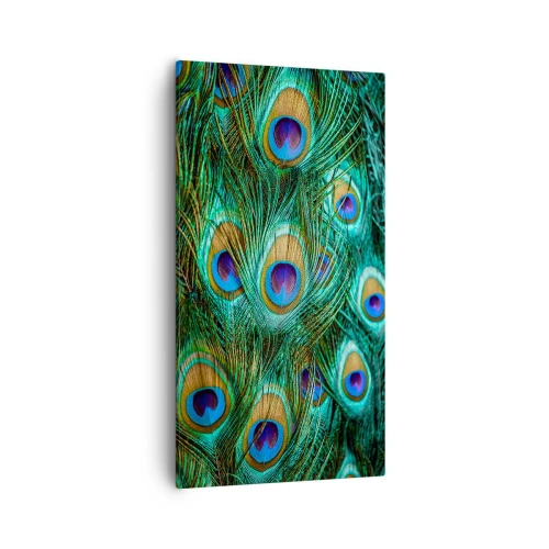 Quadro em tela - Um olhar de pavão - 55x100 cm