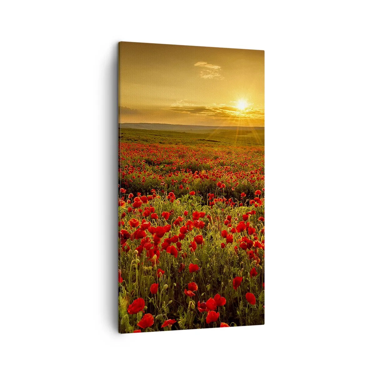 Quadro em tela - Entre o farfalhar da onda de prados, entre o dilúvio das flores - 45x80 cm