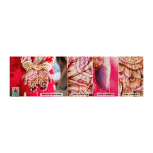 Amostra de papel de parede Premium Sand - Pronto para alcançar a felicidade - Mãos Femininas, Desenhos Orientais, Índia - 100x30 cm