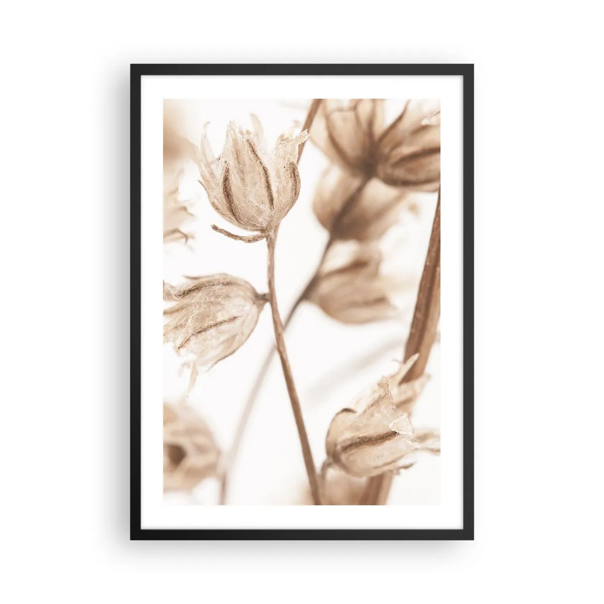 Pôster com moldura preta - Plantas secas em sépia sobre fundo claro - 50x70cm - Eles estão ligando no final do verão - Decoração de parede moderna para a sala de estar e quarto ARTTOR